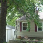 st-louis-landscaping (15)
