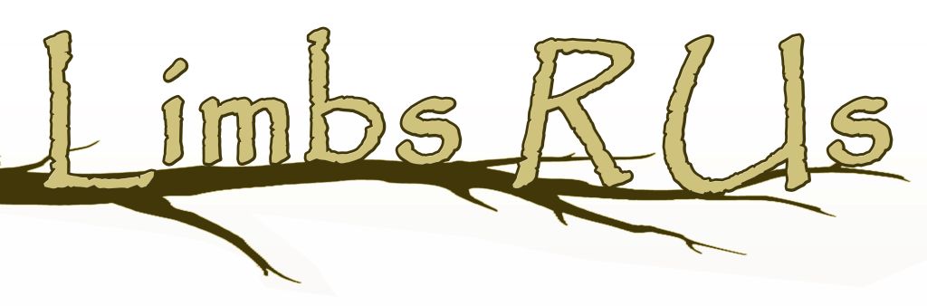 Website Launch